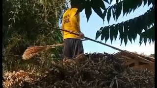 Famous Performance task in ESP Wealth