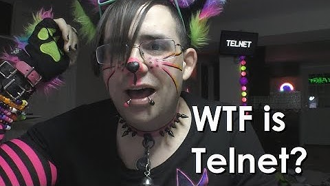 A Cat Explains Telnet