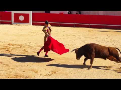 Vidéo: Des Militants Protestent Contre Le Festival Espagnol Des Taureaux