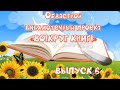 Выпуск № 6: областной библиотечный интернет-проект «ВО!Круг книг!».