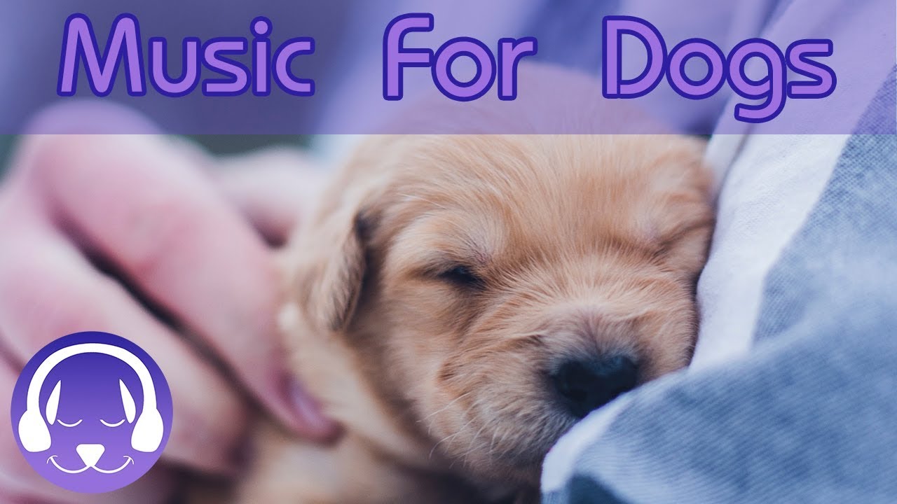music for puppy