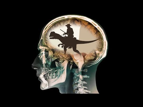 Рептильный мозг человека