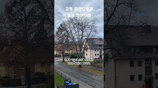 고정 마인드셋과 성장 마인드셋 / 으라차차 꽉형 / #Short #1분명언 #1분명상