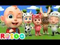 Old MacDonald Had a Farm 🐮 Learn Farm Animals | Fun Kids Song | Rosoo Nursery Rhymes