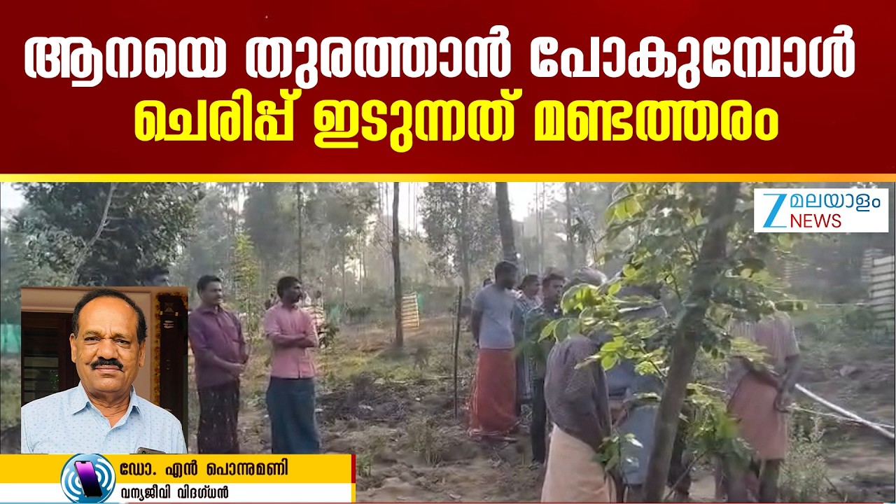 Wayanad Wild Elephant Attack | ആനയെ തുരത്താൻ പോകുമ്പോൾ പല കാര്യങ്ങളും ശ്രദ്ധിക്കേണ്ടതുണ്ട്