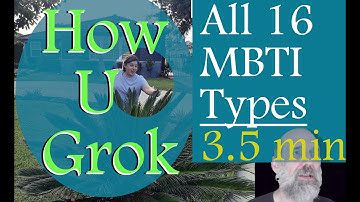 All 16 Types | How You Grok | MBTI Nutshell 3.5 min