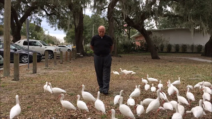 Feeding those in Need