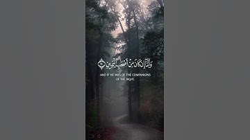تلاوة جميلة و مؤثرة لآيات من القرآن الكريم #تلاوة_خاشعة #اذكار #راحة_نفسية #لايك#اكسبلور #قران_كريم