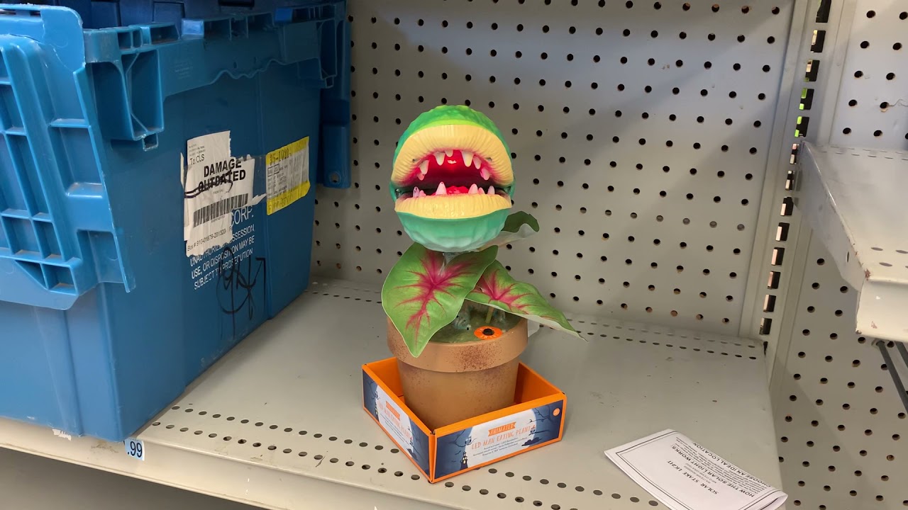 PAC animated Tabletop Man Eating Plant