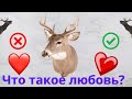 Что такое любовь? Умеете ли вы любить?