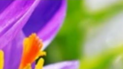 الصفحة(5) سورة البقرة،بصوت القارئ عبد الله أحمد الخلف حفظه الله تعالى ...