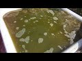 Так виглядає мій Botryococcus braunii. This is what my Botryococcus braunii looks like