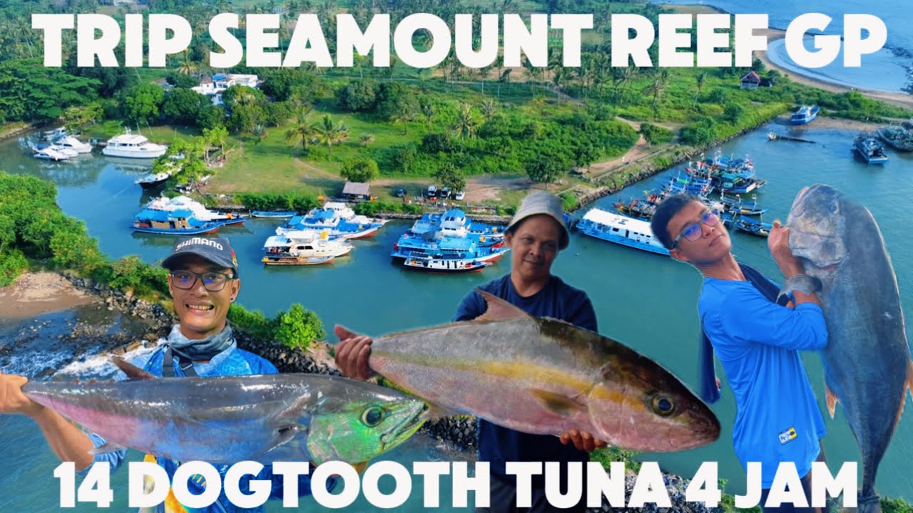 SHIMANO STELLA MENJERIT DISAMBAR GT 19KG | SPOT IKAN TUNA GIGI ANJING DOGTOOTH TUNA