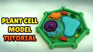 DIY How to Make a PLANT CELL MODEL - Polymer Clay playdoh or Fondant Tutorial with Organelles