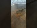 mini vlog #shorts #shortsviral #ilish #funny #comedy #sorts #food #sadaaurmazedarkitchen