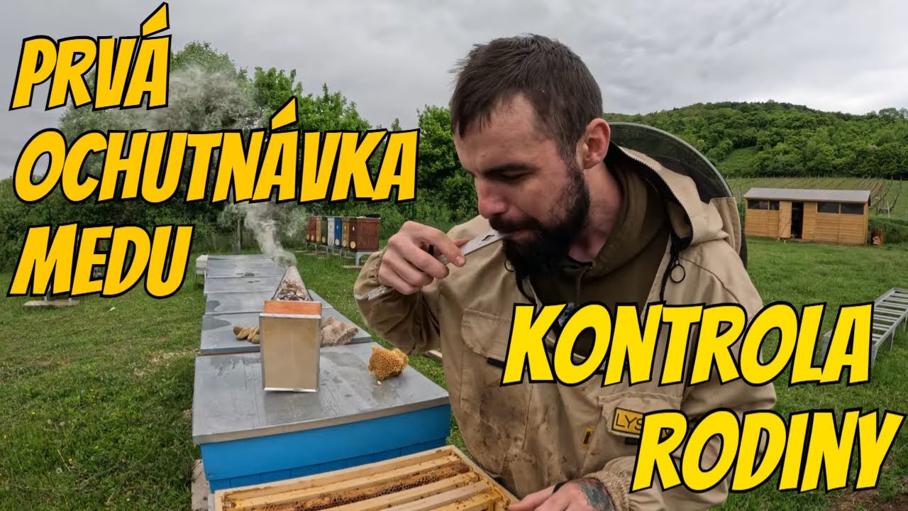 Ako vyzerajú včelstvá pred prvou vytáčkou?