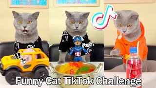 Funniest Cat Videos In The World| Oscar‘s Funny World | Cat And Hamster TikToks #4