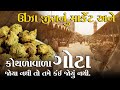 ઊંઝા જીરા નું માર્કેટ અને કોથળાવાળા ના ગોટા ટેસ્ટ કર્યા કદી?/ kothadwada ane kaka na gota/