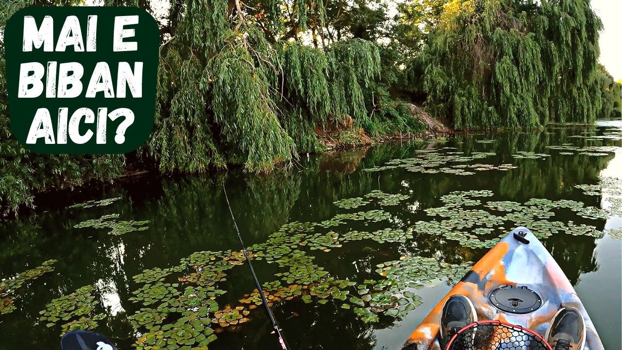 PESCUIT de seara si PLIMBARE cu CAIACUL pe Salbatic