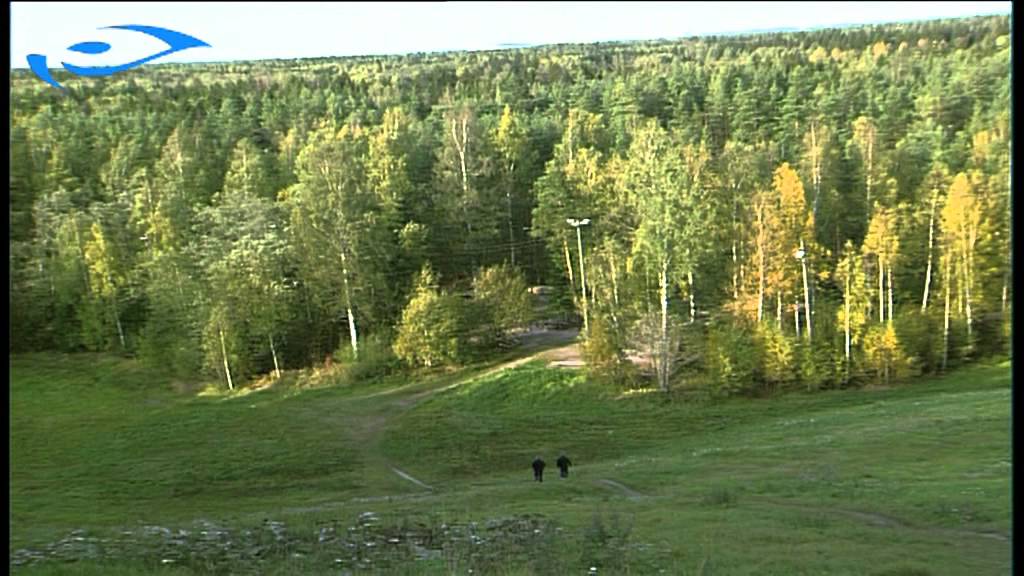 Elixir - sauvakävely - Vauhtikestävyyden kehittäminen sauvakävellen