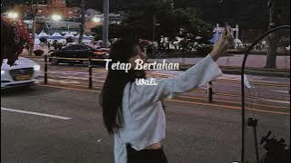 wali - tetap bertahan ♡ ( speed up )