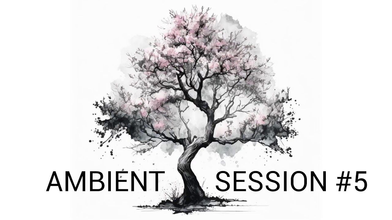 Alsyn Ambient Session #5 (Tom + Ianis)