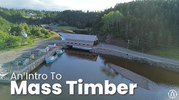 An Intro to Mass Timber - Sustainable Construction Techniques of the Future