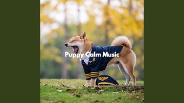 Fiery Music for Forgetting Mirrors