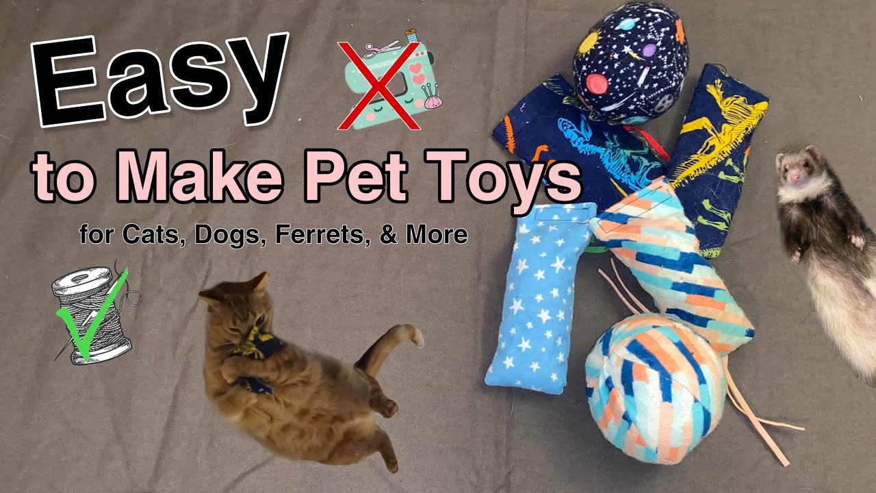 Easy To Make Pet Toys For Cats Dogs