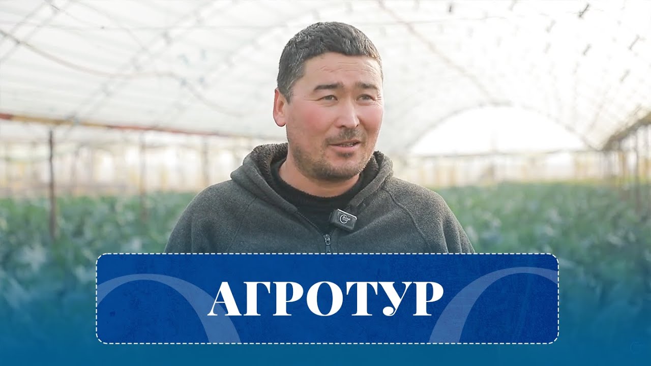 Агротур (11.12.2025)