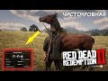 Где НАЙТИ самую РЕДКУЮ ЧИСТОКРОВНУЮ лошадь в Red Dead Redemption 2