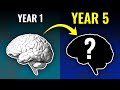 How years of language learning affects your brain