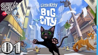 The Cutest Cat in the City | Little Kitty Big City - Ep. 1