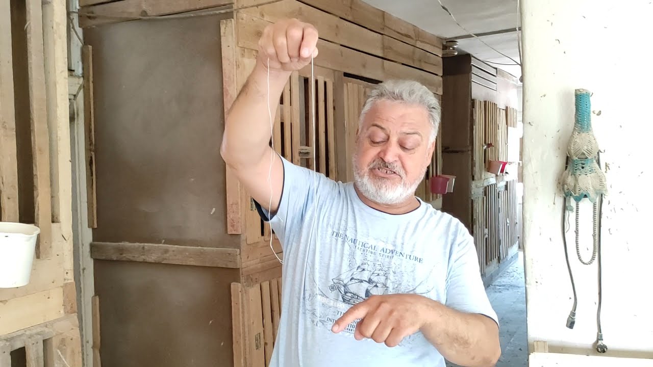 /// 🤷CİVCİVİM HOROZ MU🤔 ? YOKSA PİLİÇ Mİ ? 🤔🤷/// 💯%💯 {KESİN ÇÖZÜM}