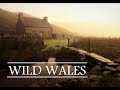 Wild wales  a 500km hike across wales inspired by the cambrian way