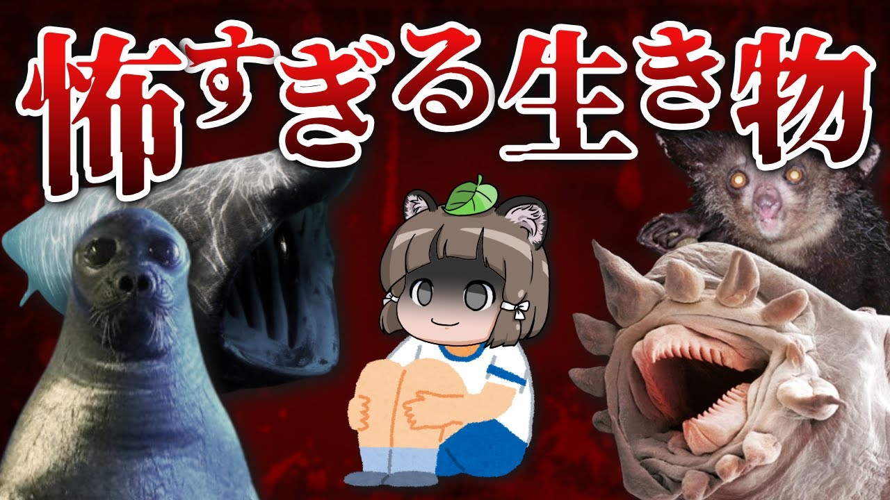 【ガチ怖】9割がゾッとする…見た目が恐ろしすぎる生き物8選