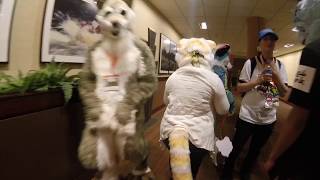 Furlandia 2017 Day 1