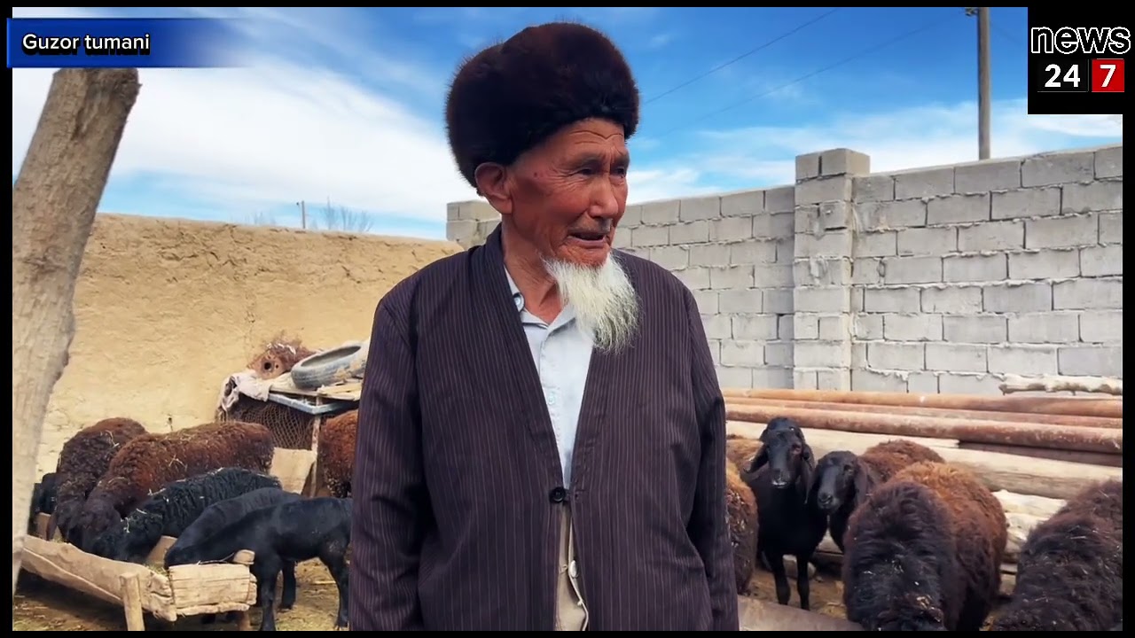 Гузор тумани