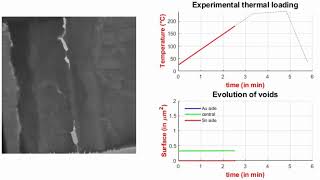 In situ heating experiment TEM