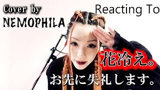 Reacting To NEMOPHILA(ネモフィラ) "お先に失礼します。" 花冷え。 Cover