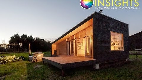 Psychedelic Insights Amsterdam