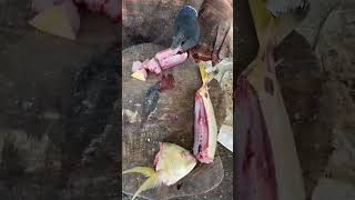 fish cutting skill