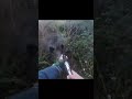 &quot;Кабан в прицеле: один выстрел — один трофей #hunt #hunting #wildanimal
