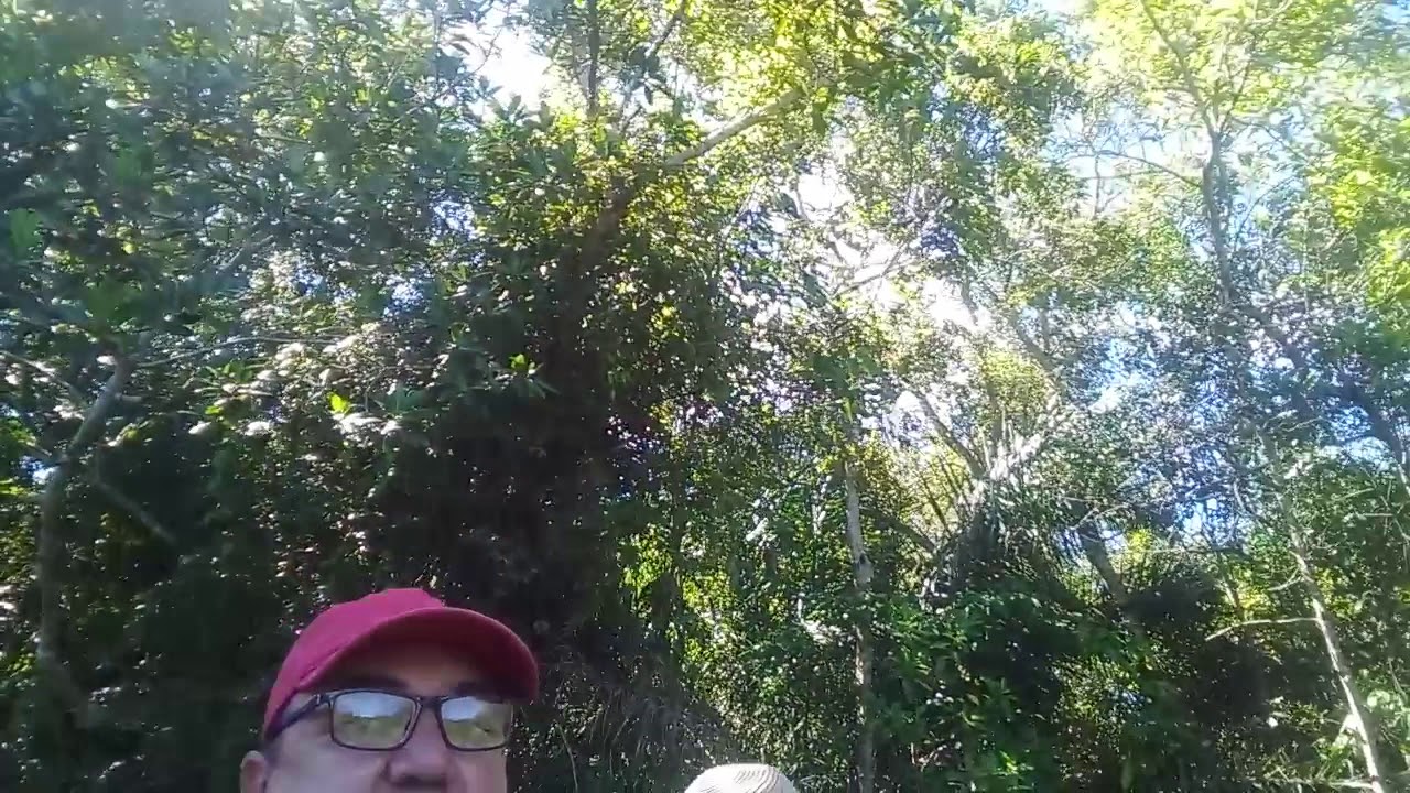 pantanal ecotrips by barra do sucuri