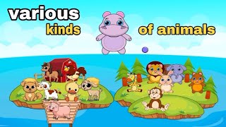 various kinds of animals education