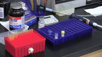 Lab video DAY 1 2018