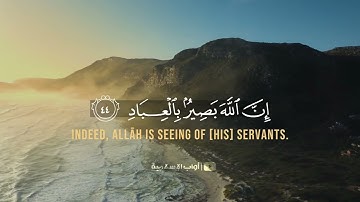 وافوض امري إلى الله 🥺 | جمال صوت اسلام صبحي | حالات واتس اب قرآن كريم ❤️✨ - Quran Status
