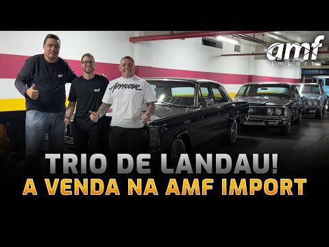 ALL THE DETAILS OF THE 3 LANDAU FOR SALE FROM AMF IMPORT