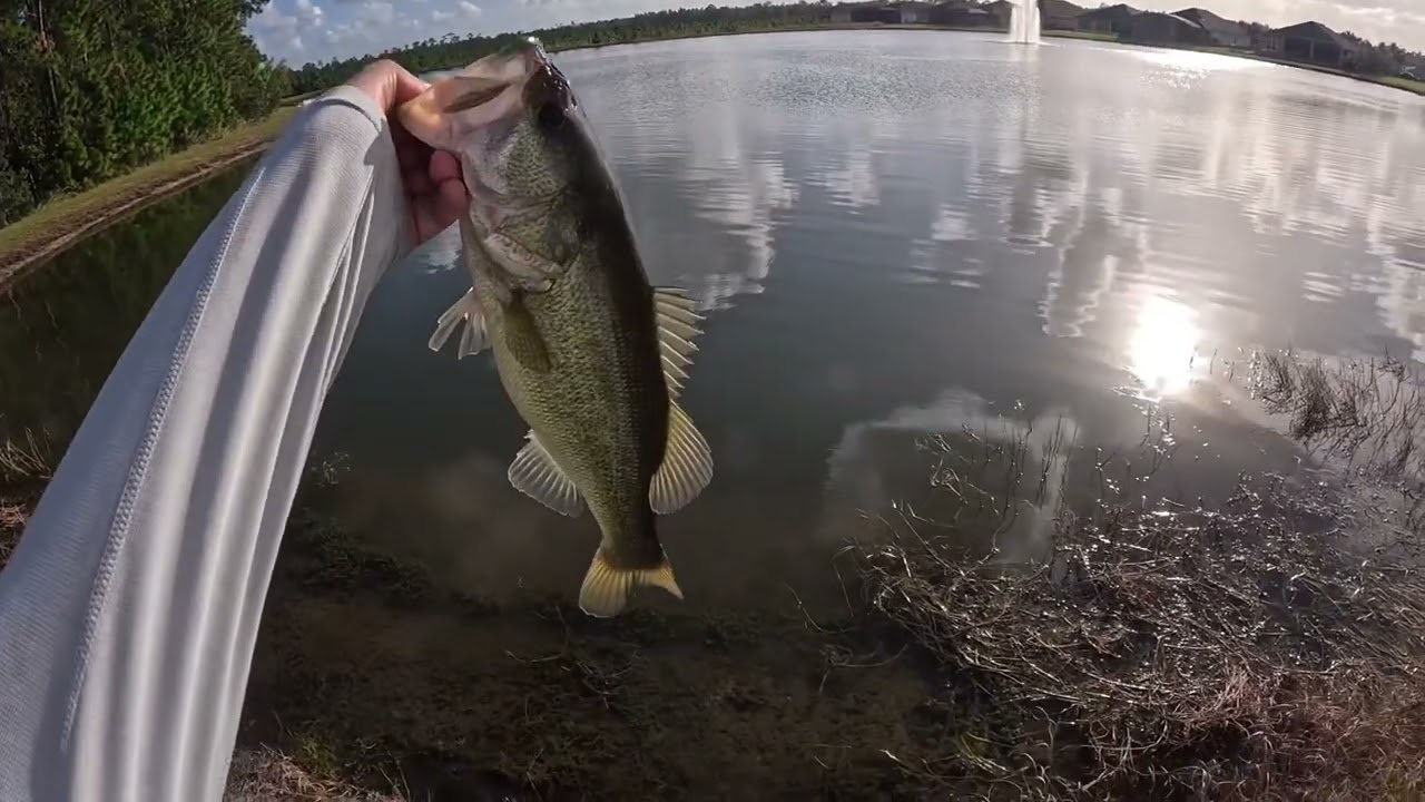 Daytona Beach Bass Fishing 12/5/24