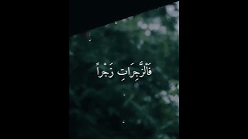 تلاوة هادئة من سورة الصافات 🕊🌾 ماهر المعيقلي #قرآني#
